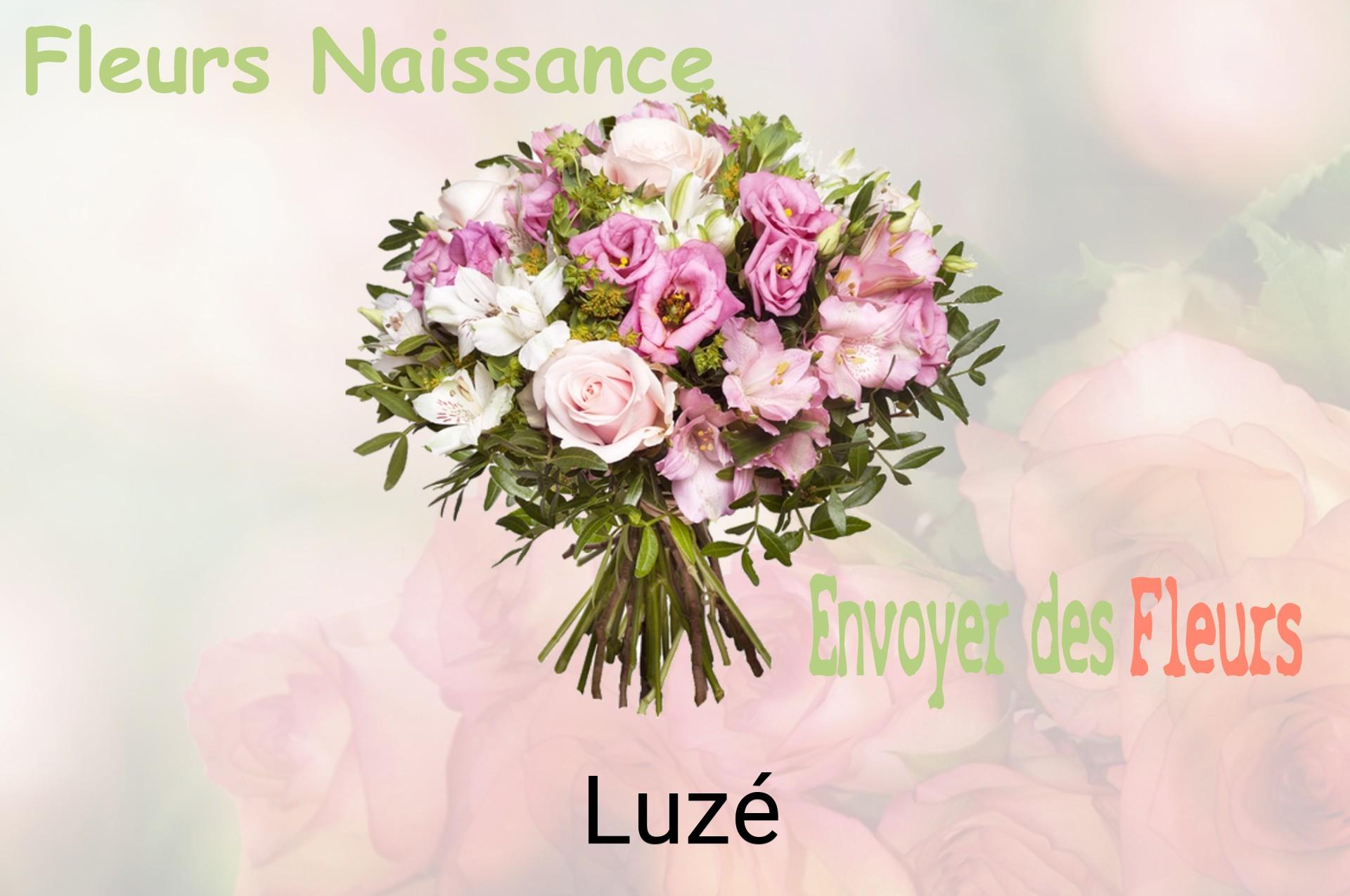 Bouquet de fleurs de naissance livré à Luzé