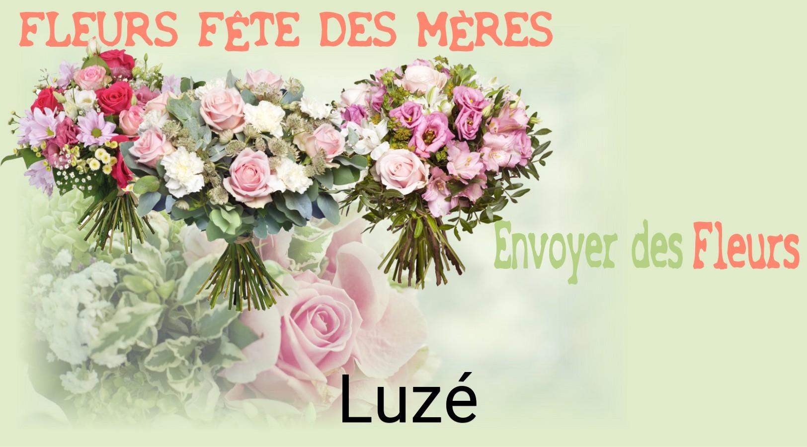 Bouquet de Fête des Mères livré à Luzé